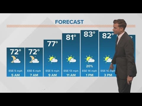 New Orleans Weather: Warm & humid, a low chance for a few showers