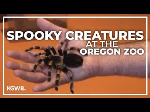 Creepy crawly critters at the Oregon Zoo