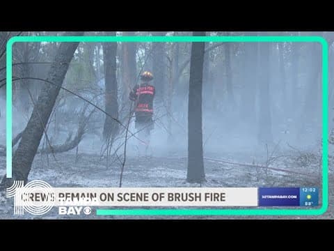 Crews monitor brush fire hot spots in North Port