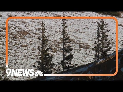 Classic El Niño pattern affecting Colorado