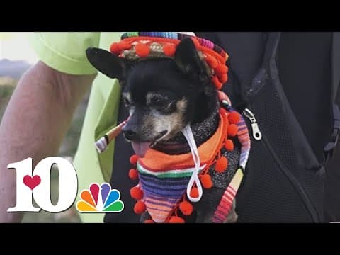 UT Gardens hosts 10th annual Howl-o-ween