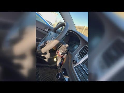 Teacher has Hyundai vehicle stolen from Wedgewood Middle School