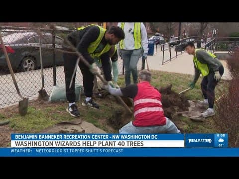 Washington Wizards help plant 40 trees in NW