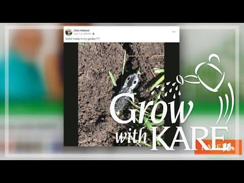 Grow with KARE Questions | June 8, 2024