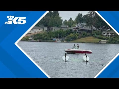 Pilot injured in floatplane crash in Lake Meridian