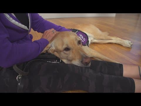 San Diego Animal Hero awards