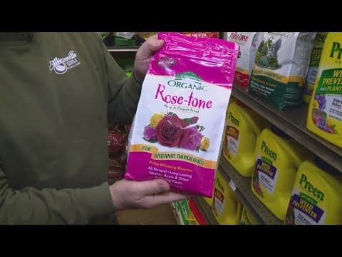 Pat Sullivan's tips for what you can, can't do now in the yard