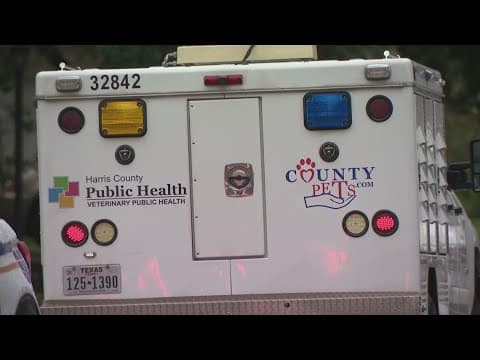 Sheriff: Dogs almost mauled 3, seriously injuring 1 of them, in Katy area before deputy shot them