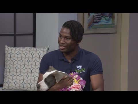 Keeping your pets safe this Mother's Day