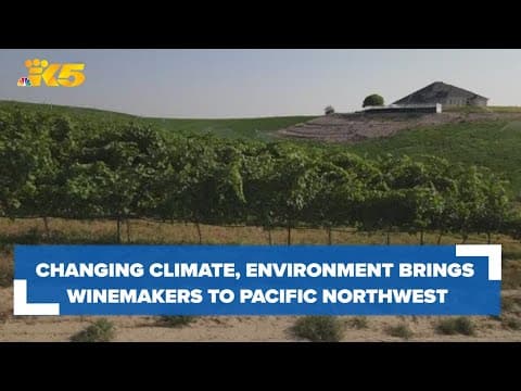 Winemakers move to the Pacific Northwest amid changing climate, environmental factors