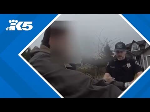 Deputies arrest woman posing as UPS worker