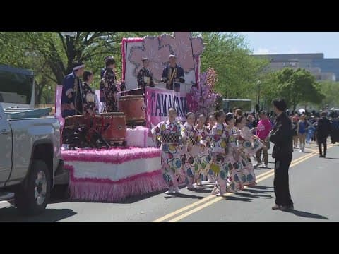 2024 National Cherry Blossom Parade