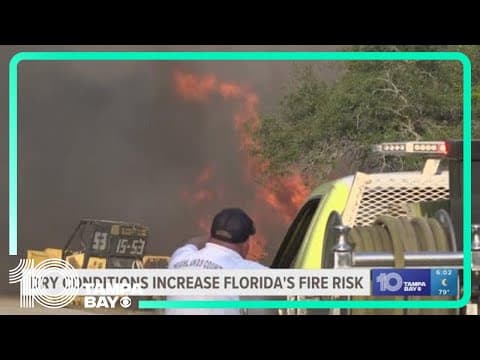 Dry conditions increase Florida's fire risk