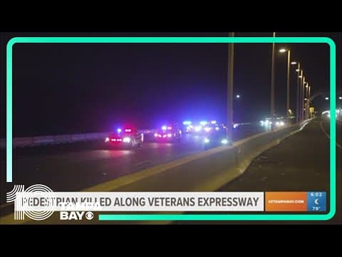 Police: Man hit, killed by car while walking along Veterans Expressway near TPA