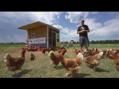 Free range farming family shares passion with others