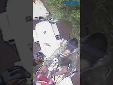 Coast Guard Rescues in Texas Floods