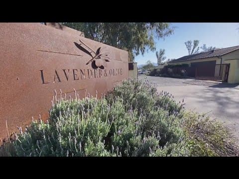 Loving couples win free Valentine's Day weddings