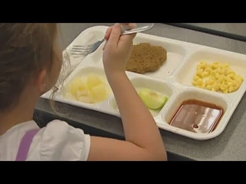 Local organization makes push for universal free meals for students in Ohio