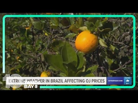 Orange juice prices soar because of extreme weather and disease