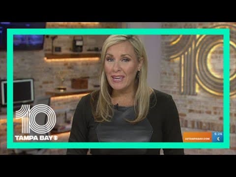 Why one expert takes a holistic approach to pets' health