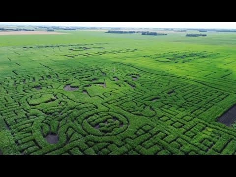 121-acre corn maze in Minnesota could be largest in the world