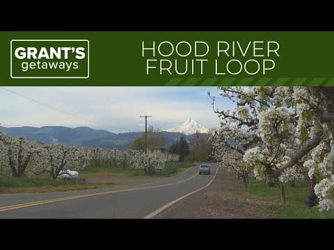 How to spend a day exploring Oregon's 'Fruit Loop' in Hood River