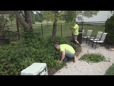 Outdoor workers don't allow air quality alerts to stop the work