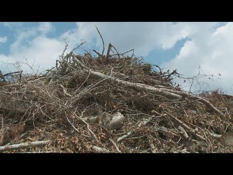 Crews to begin burning Slidell tornado debris