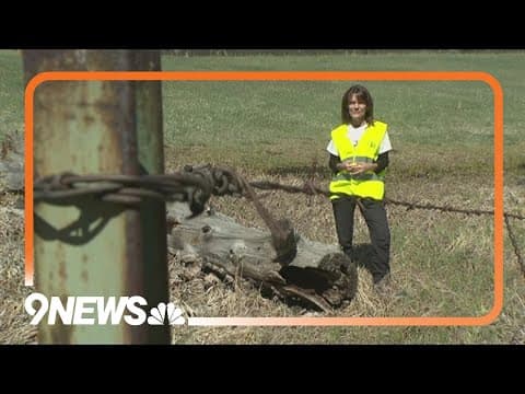 Colorado issues first-ever permit to remove barbed wire threatening elk in Evergreen