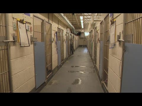 Council to reconsider proposal to approve IACS director