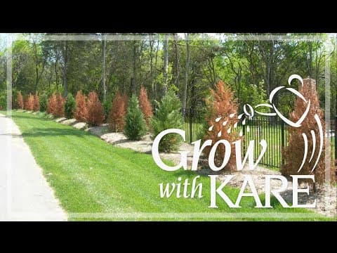 Grow with KARE: Fall watering for healthy trees