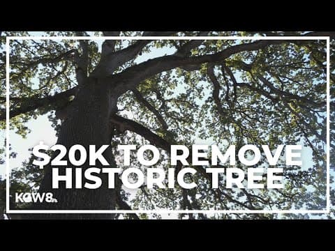 City of Portland requests couple to pay for $20K tree removal