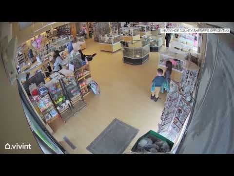 Thieves stage fake seizure to steal bulldog pups from pet store