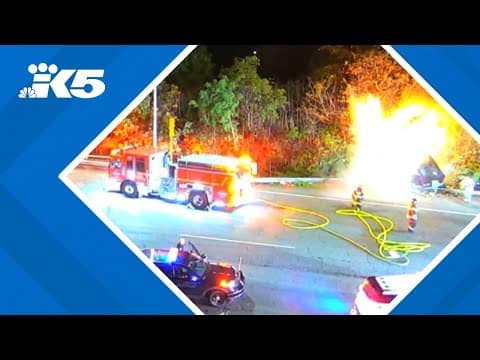 Crashed car bursts into flames on side of I-5