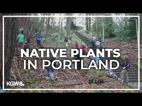 Portland teens plant around 300 native plants