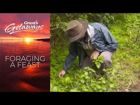 Cooking up a wild feast from nature's dinner table