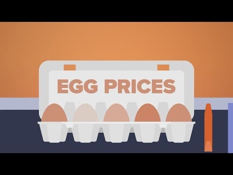 On the hunt for lower egg prices