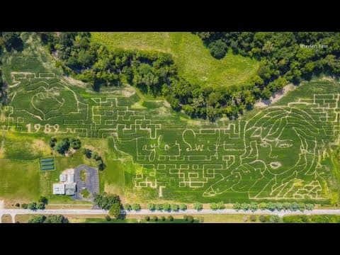 Farm in Whitehouse, Ohio displays Taylor Swift themed corn maze