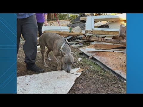 Dog recovered safely almost a week after Haymarket home explosion