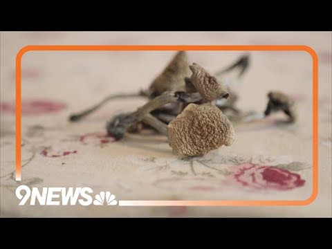 A look at what Colorado might require for psychedelic therapy guides