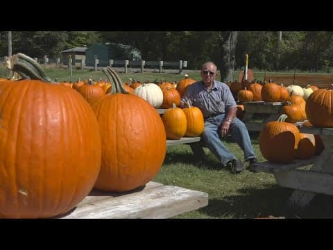 Sam’s Pumpkin Patch in Pickerington lives on 3 years after owner’s death
