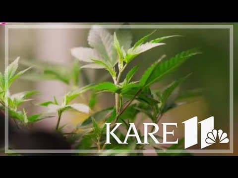 White Earth Nation set to open first pot shop off a reservation this weekend