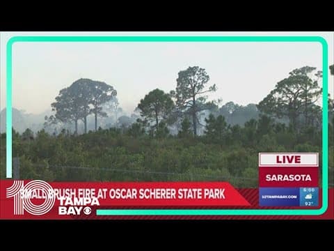 Crews work to put out brush fire near Oscar Scherer State Park