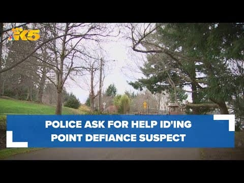 Police ask for public's help identifying Point Defiance stabbing suspect