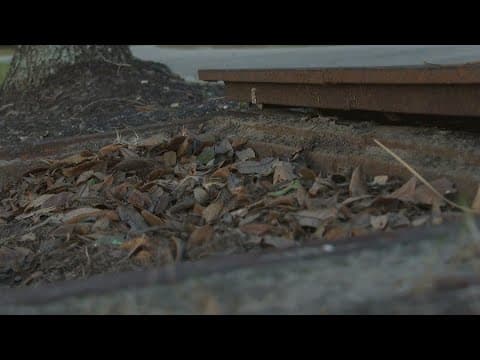 City councilman calls for city's catch basins to be cleaned out ASAP