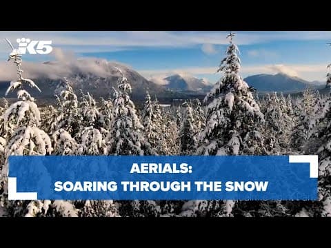 Soaring through the snow: winter in Western Washington