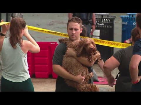 Director of DC's 911 call center faces backlash after doggy daycare tragedy
