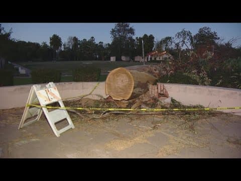 Balboa Park in San Diego closed after high winds topple trees