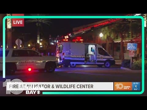 Multiple animals killed in fire at Alligator & Wildlife Center near John's Pass