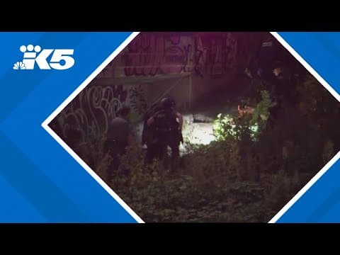 Man arrested after throwing objects from overpass in Seattle